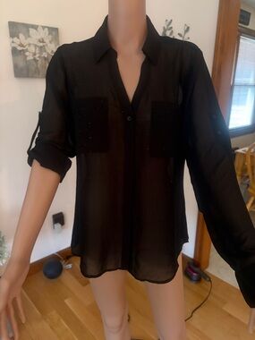 Express Black Sheer Button-Down Blouse